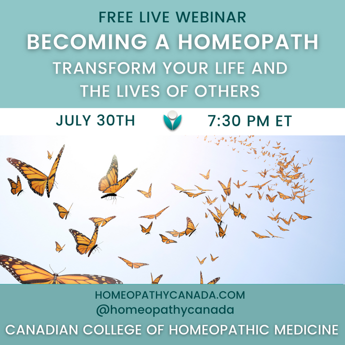 Becoming a Homeopath: Transform Your Life and  the Lives of Others