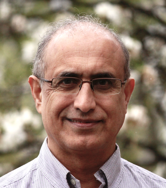 Dr. Shahram Ayoubzadeh N.D., HOM